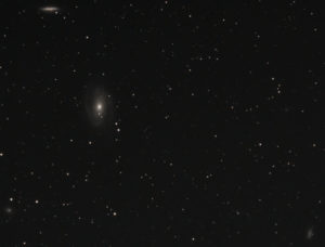 M81 und Begleitgalaxien